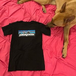 Patagonia Graphic Tee T-Shirt